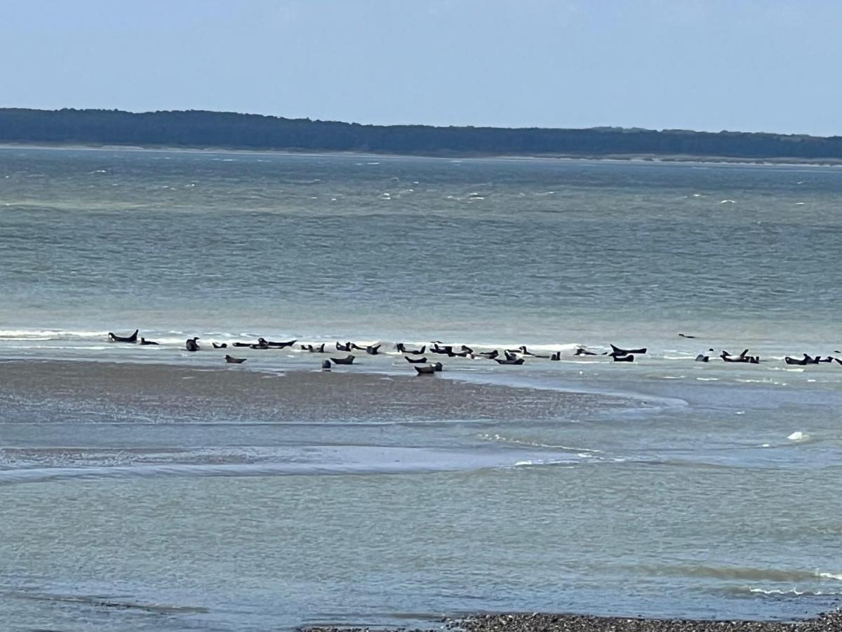 Plage A 50M Appartement Reves Etoiles Villa Les Bains De Mers Exteriér fotografie