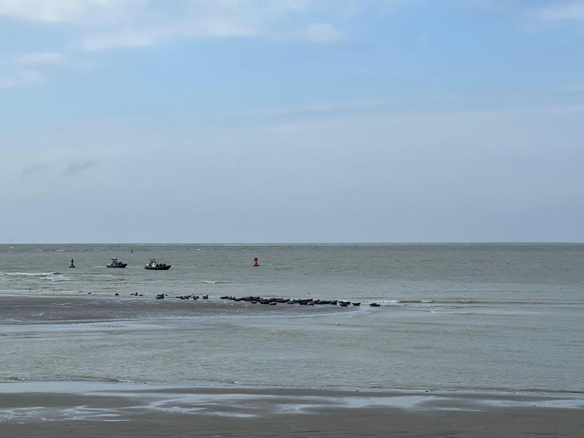 Plage A 50M Appartement Reves Etoiles Villa Les Bains De Mers Exteriér fotografie